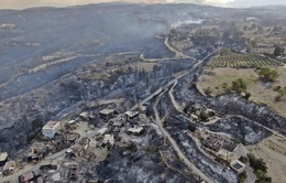 Cháy rừng ở miền Nam Thổ Nhĩ Kỳ khiến 3 người thiệt mạng, hàng chục người phải nhập viện