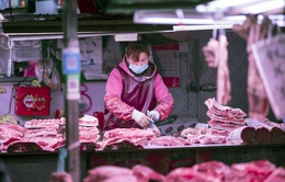 Nguồn cung phục hồi mạnh, giá lợn Trung Quốc lao dốc