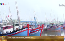 Bình Định đầu tư hơn 100 tỉ đồng nâng cấp cảng cá Tam Quan