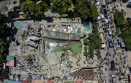 Động đất mạnh 7,2 độ ở Haiti, ít nhất 227 người thiệt mạng