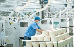 TP Hồ Chí Minh đưa 5 - 10% doanh nghiệp sản xuất trở lại