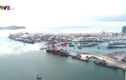 Hơn 400 tỷ đồng cải tạo, nâng cấp luồng hàng hải vào cảng Quy Nhơn