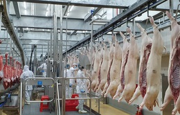Hà Nội tự chủ được 95% nguồn cung thịt gia cầm, thịt lợn, trứng