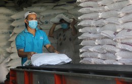 Xuất cấp hơn 130.000 tấn gạo hỗ trợ 24 tỉnh, thành phố