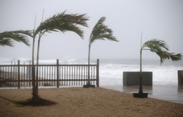 Bão Henri đổ bộ vào bờ biển Rhode Island (Mỹ) mang theo mưa lớn, gió giật