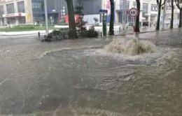 Tỉnh Hà Nam, Trung Quốc ban bố báo động đỏ vì mưa lớn
