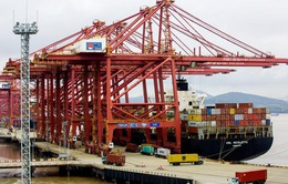 Cảng container lớn thứ 3 thế giới hoạt động trở lại sau dịch