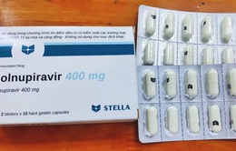 300.000 liều thuốc Molnupiravir được phẩn bổ cho các địa phương điều trị F0 thể nhẹ tại cộng đồng