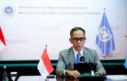 Hội nghị ASEAN+3: Indonesia đề xuất thiết lập cơ chế y tế khu vực