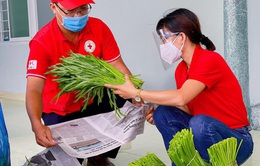 Hội Chữ thập Đỏ Việt Nam tiếp tục kêu gọi ủng hộ phòng, chống dịch COVID-19