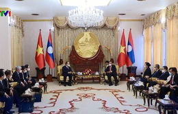 Chủ tịch nước gặp nguyên lãnh đạo Đảng, Nhà nước Lào