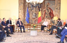 Việt Nam đánh giá cao quan hệ với Bỉ trên mọi mặt