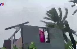 Philipines liên tiếp hứng bão