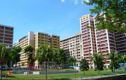 Giao dịch chung cư cao cấp tại Singapore sôi động