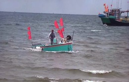 Ngư dân phấn khởi được ra biển đánh bắt hải sản