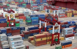 WTO: Thương mại dịch vụ toàn cầu đang phục hồi nhưng vẫn dưới mức trước đại dịch