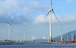 Sẽ trình Thủ tướng xem xét gia hạn giá FIT cho dự án điện gió chậm tiến độ