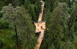 Khám phá con đường “trên cây” dài nhất thế giới tại Thụy Sĩ