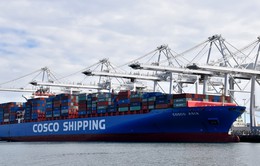 Vận tải biển Trung Quốc thắng đậm nhờ cước phí tăng