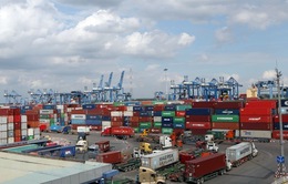 Đề nghị doanh nghiệp cảng biển không tăng giá dịch vụ