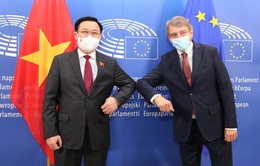 Nghị viện châu Âu sẽ nỗ lực vận động vaccine, trang thiết bị y tế giúp Việt Nam chống dịch