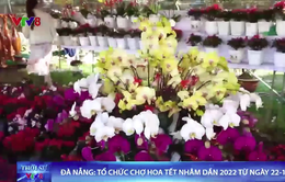 Đà Nẵng tổ chức chợ hoa Tết Nhâm Dần 2022 từ ngày 22-1