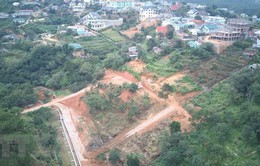 Lâm Đồng ngừng thi công công trình trên đất phân lô tách thửa