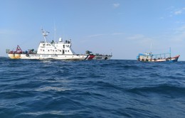 Kiên Giang: Bắt tàu cá vận chuyển 50.000 lít dầu DO không rõ nguồn gốc