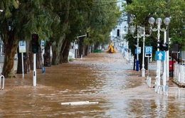 Mưa lớn gây lũ lụt nghiêm trọng tại nhiều thành phố của Israel