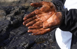 Peru ứng phó sự cố tràn dầu do tác động từ núi lửa Tonga