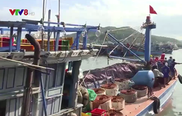 Ngư dân phấn khởi cho chuyến biển xuyên Tết