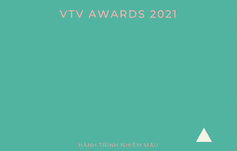 [INFOGRAPHIC] 11 hạng mục xuất sắc nhận cúp VTV Awards 2021