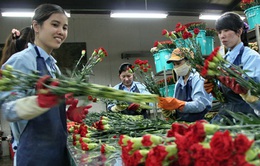Australia nhập khẩu trở lại hoa từ Việt Nam
