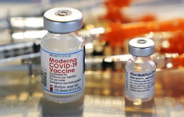 2/3 người trưởng thành ở Mỹ không có kế hoạch đi tiêm mũi vaccine COVID-19 cập nhật