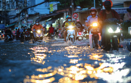 Triều cường đạt đỉnh, nhiều tuyến đường tại TP Hồ Chí Minh biến thành sông