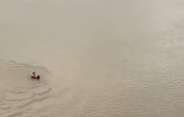 Nam thanh niên cứu người nhảy cầu sông Sêrêpốk