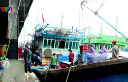 Việt Nam nỗ lực xây dựng nghề cá bền vững, có trách nhiệm