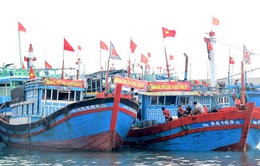 Các tỉnh, thành phố từ Quảng Ninh đến Bình Định chủ động ứng phó với bão Nesat