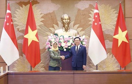 Quan hệ Việt Nam - Singapore đang phát triển tốt đẹp trên tất cả lĩnh vực