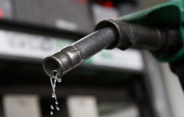 Đức dự định đánh thuế cao các công ty dầu khí
