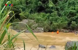 Quảng Nam: Tìm thấy thi thể người bị nước cuốn trôi khi vượt sông Bung