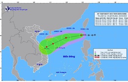 Áp thấp nhiệt đới giật cấp 8 đã đi vào Biển Đông