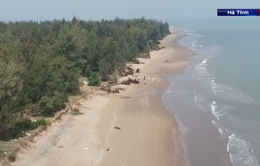 Hà Tĩnh: Sạt lở bờ biển diễn biến phức tạp