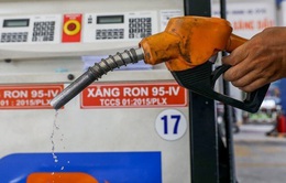 Nhập khẩu xăng dầu tháng 1 tăng hơn 90%