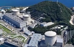 Nhật Bản tái khởi động 17 nhà máy điện hạt nhân
