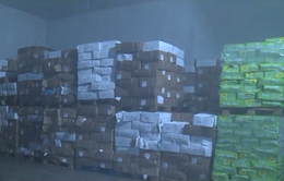 Triệt phá kho hàng đông lạnh thu giữ 90 tấn thực phẩm bẩn