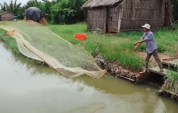Thuận theo tự nhiên để phát triển bền vững ở Đồng bằng sông Cửu Long