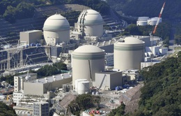 Nhật Bản xem xét kéo dài thời hạn dùng điện hạt nhân