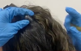Bắt hai phụ nữ giấu gần 2kg cocaine trong tóc giả