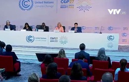 Hội nghị COP27 ra mắt quỹ "Lá chắn toàn cầu"